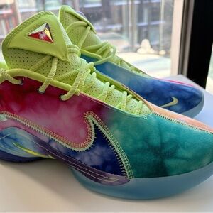 Men's Nike Pink/Blue WTM Lebron XXII